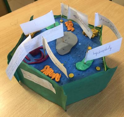 586993425_875314515665398_550725908659433863_n (1).jpg