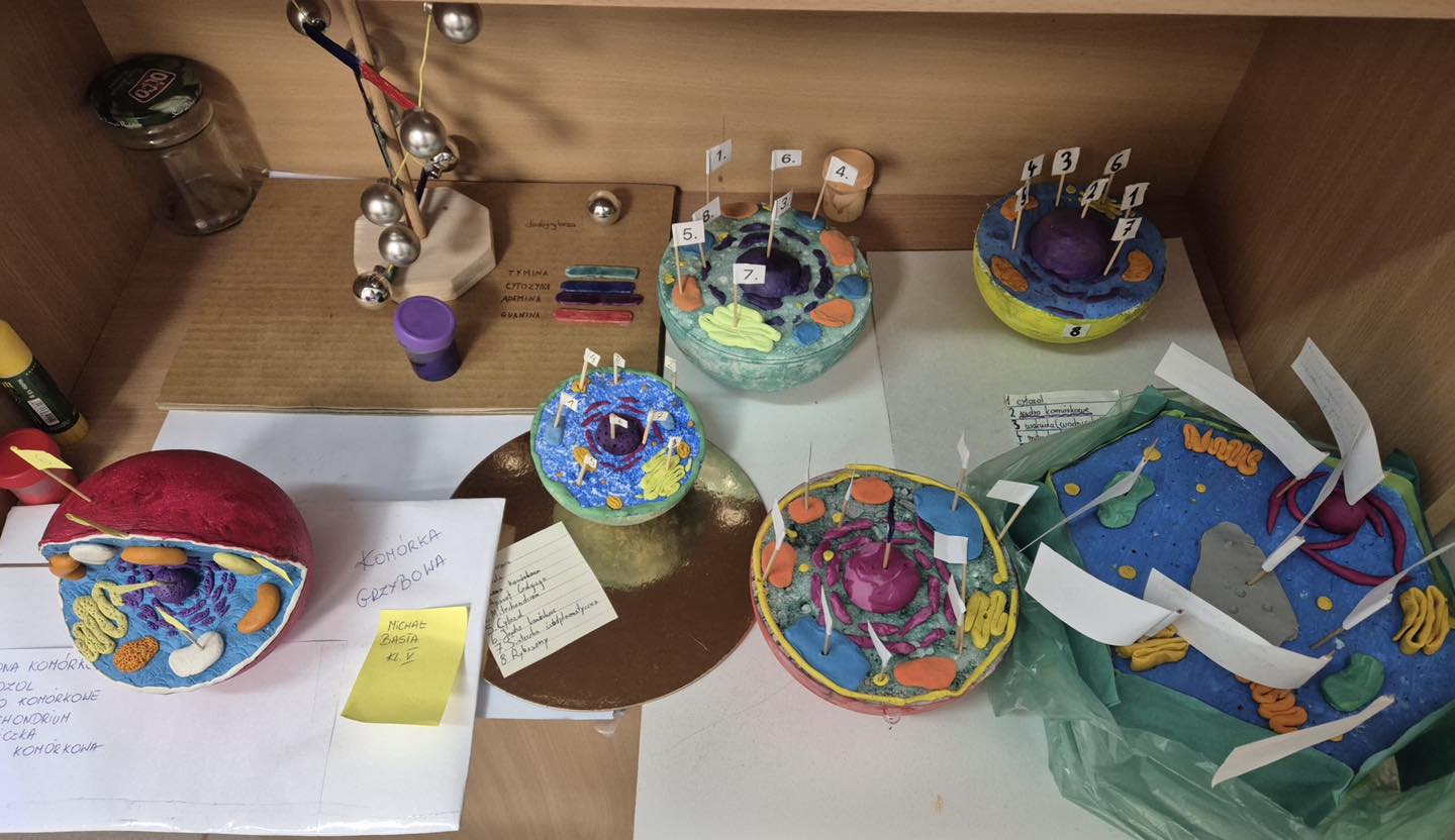Lekcja biologii: Tworzymy modele komórki!