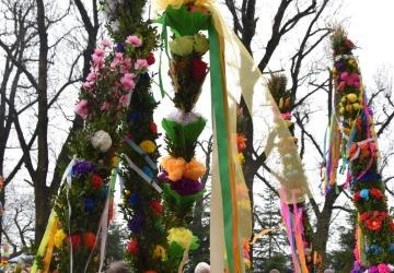 Najpiękniejsza palma