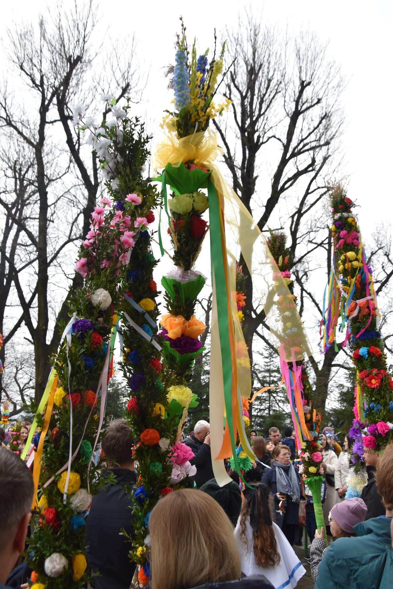 Najpiękniejsza palma